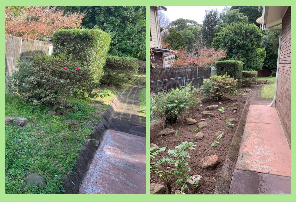 betty garden