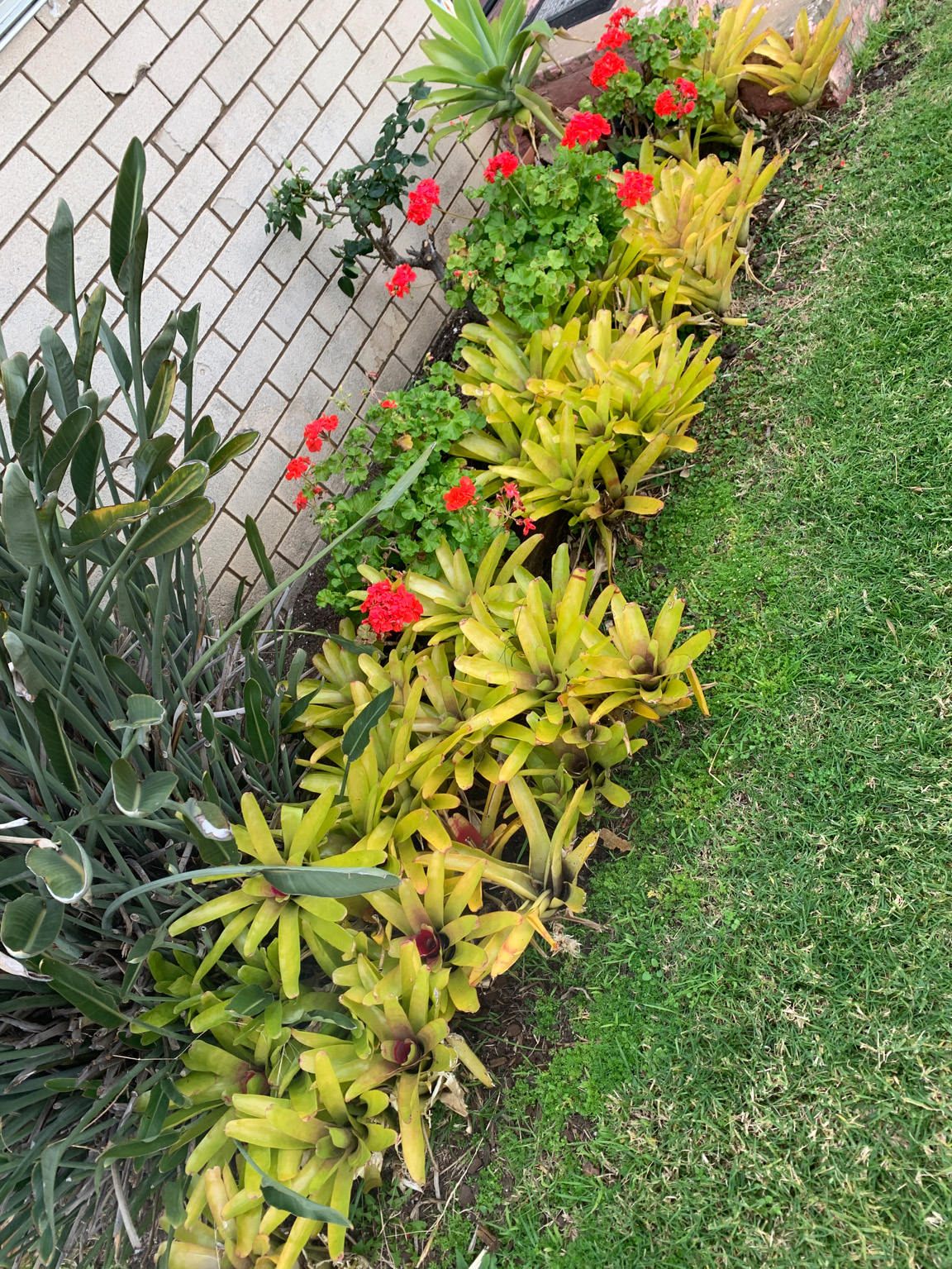 gardens